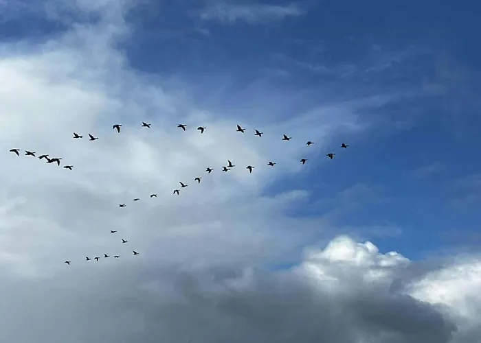 度假居 Sleep Under The Stars Near Brunsnaes